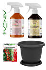 Prooter & Viola 2x500 ml Besin + 100 Adet Domates Tohumu + 5L Hasır Saksı Seti