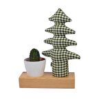 Kayigo Flowery  Saksılı & Notluk - Pötikareli Çam