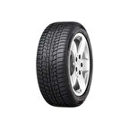 205/55R16 TL 91T WINTECH VIKING
