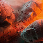 Muse Will Of The People - Plak