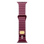 Gpack Apple Watch 10 42mm Kordon Silikon Metal Tokalı Ayarlanabilir KRD73