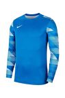 Nike M NK DF Park IV JSY GK CJ6066-463 Kaleci Forma