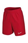 Nike Nk Df Acd21 Short K CW6107-657 Erkek Şort