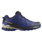 Salomon XA PRO 3D V9 Gore-Tex Erkek Ayakkabı