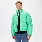 THE NORTH FACE ERKEK CEKET M TNF JACKET 2000 NF0A7URE8YK1