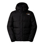 The North Face Erkek HMLYN 30 ANNIVERSARY PARKA NF0A88XEJK31