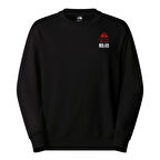 The North Face U MNT ANNIVERSARY  RELAXED CREW Swetşört NF0A8DN6JK31