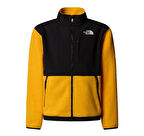F0A8EJS56P1-R The North Face Teen Denalı Jacket &amp;Ccedil;ocuk Ceket Siyah