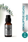 Uçucu OKALİPTUS YAĞI 20 ML