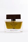 Tudors The Spirit EDP Baharatli Erkek Parfüm 100 ml  