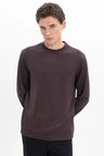 Erkek Standart Fit Normal Kesim Uzun Kollu Ekstra Soft Modal Kumaş Bisiklet Yaka Kahverengi Sweatshirt
