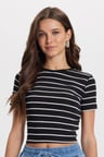 Kadın Slim Fit Dar Kesim Pamuklu  Yumuşak Dokulu Kısa Kollu Bisiklet Yaka Siyah Tişört
