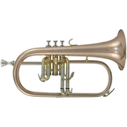 Roy Benson FH-302G Flugelhorn