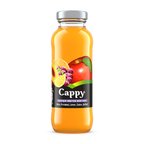 Cappy Karışık Meyve Nektarı Cam Şişe 250 Ml (3'li Paket)