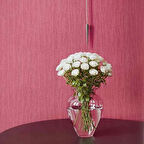 ANKAWALL PİCASSO 2 BOYANABİLİR DUVAR KAĞIDI 7005 (26.5m2)