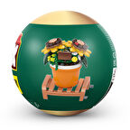 Max Saksı Bitkileri Ayçiçeği CDU15-83183GQ1