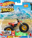 Hot Wheels 1:64 Monster Trucks Arabalar HCP37