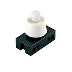 Çıt Çıt Anahtar - Öğrenci Deneyleri İçin - 1 Adet