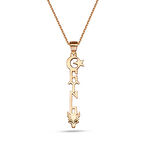 Bozkurt Türk Ayyıldız Gümüş Kolye