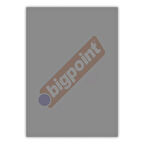 Bigpoint A4 Cilt Kapağı 150 Mikron Şeffaf Siyah 100'lü Paket