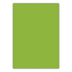 Bigpoint A4 Cilt Kapağı 150 Mikron Opak Açık Yeşil 100'lü Paket