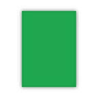 Bigpoint Fon Kartonu 50x70cm 120 Gram Yeşil