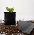 Fide Poşeti 9x15 CM 200 Adet Fide Torbası Fidan Poşeti