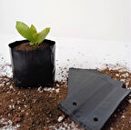 Fide Poşeti 9x15 CM 7 KG Fide Torbası Fidan Poşeti