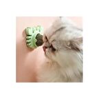 Yengeç Kedi Otu Oyun Topu