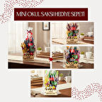 Mini Okul Saksı Hediye Sepeti - Öğretmenler Günü Hediyesi