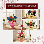 Vazo Midye Teraryum - Öğretmenler Günü Hediyesi