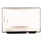 Dell Alienware P41E001 Notebook Ekran FullHD