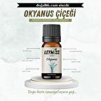 Okaliptus Uçucu Yağı Ferahlatıcı ve Temizleyici Bitki Esansı 10ml Cam Şişede Buhardanlık Oda Kokusu