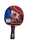 Pro Maç Raketi 3 Yıldız Masa Tenisi Raketi