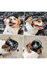 Kedi,Köpek ve Dekoratif Acik Mini Kask