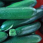 TohumBaba Kabak Tohum (yeşil) Pakette 10 Adet Tohum