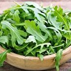 TohumBaba Tere Tohumu Pakette 100 Adet Tohum