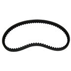 Motobir Kayış Mondial 125 Nt Turkuaz