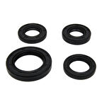 Motobir Keçe Seti Rapid Revival Azure Twister Scooter 50cc 80cc GY6