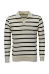 Erkek Spor Çizgili Mevsimlik Triko Polo Yaka Kazak BGL-ST03931