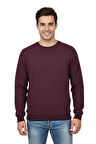 Erkek Sıfır Yaka Petek Doku Regular Fit Sweatshirt BGL-ST04950
