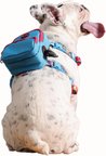 Gimme Five Mavi Çantalı Göğüs Tasması, Köpek Sırt Çantası – Göğüs Tasması İşlevli, Geri Dönüştürülmüş Malzeme, Ayarlanabilir, Çok Cepli, 5 Renk Seçenekli, Small Recycled