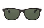 Ray-Ban RB 4202 6069/71 Unisex Güneş Gözlüğü