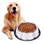  22 cm  Her Alanda Kullanıma Uygun  Paslanmaz Çelik Metal Evcil Hayvan Mama Kabı