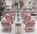 Modern Metal Berjer Pembe