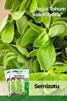 6000 Adet Semizotu Tohumu