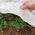 2x5 METRE 30gr AGRİL ISI DON ÖRTÜSÜ, ZİRAİ DON KIRAĞI ÖRTÜ KARPUZ ÇİLEK ÖRTÜSÜ, SERA TOPRAK ÖRTÜSÜ ELYAF BİTKİ KORUMA ÖRTÜSÜ