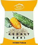 Kudret Narı Tohumu (10 Adet Tohum)