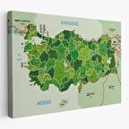 Harita Sepeti Türkiye Haritası Kanvas Tablo İl ve İlçeli Ayrıntılı Eğitici Komşulu Tablo 3007