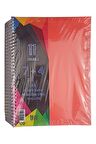 7+4 Ayraçlı Defter 11 Konulu 225 Yaprak 1 Adet 7 Kareli 4 Çizgili Spralli Plastik Kapak Seperatörlü